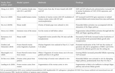 The role of Hippo pathway in ovarian development